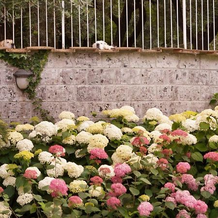 Villa Annabelle SantʼAgata sui Due Golfi Exterior foto