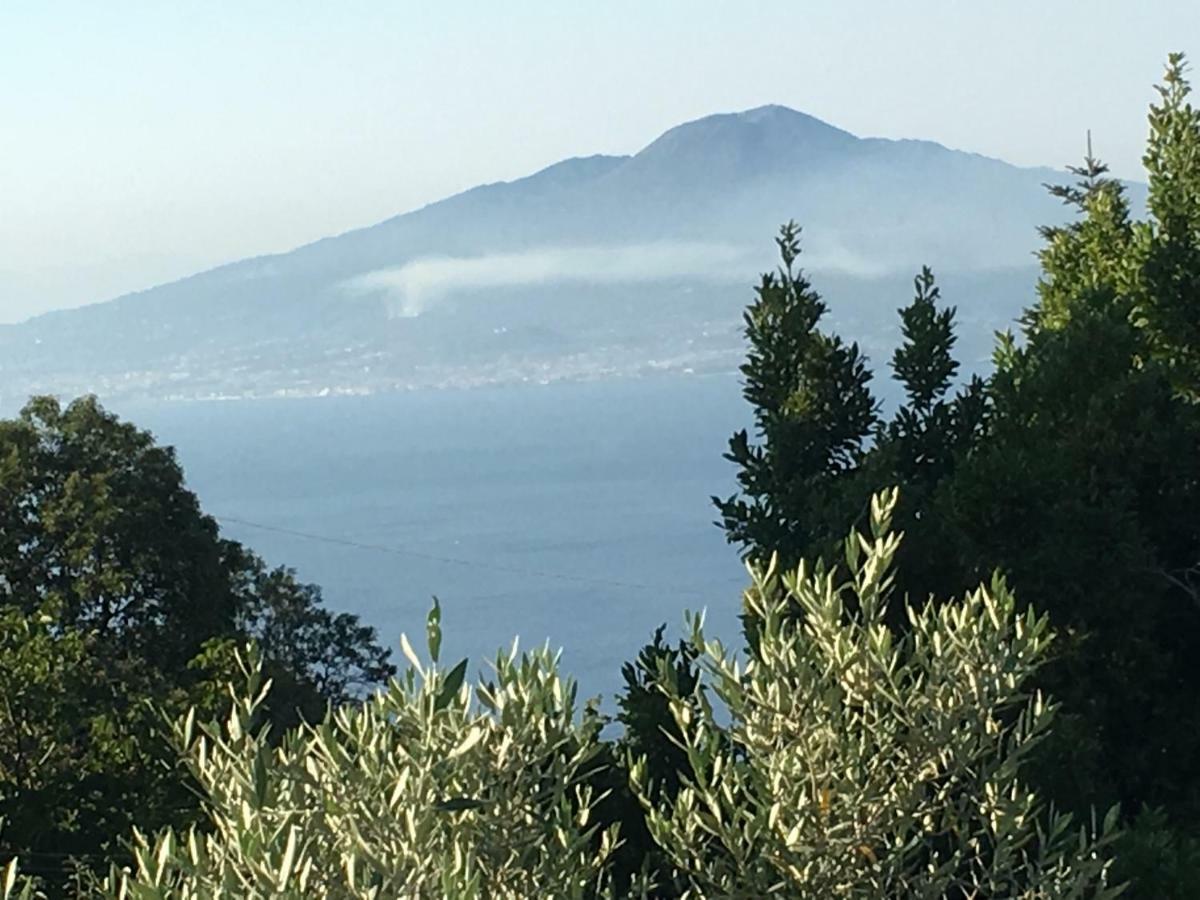 Villa Annabelle SantʼAgata sui Due Golfi Exterior foto